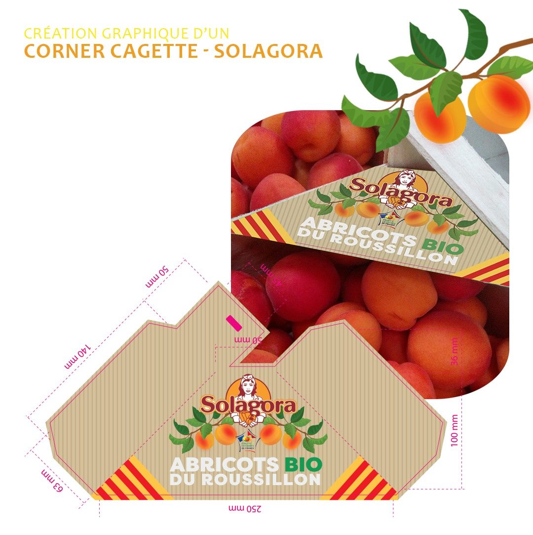 Corner cagette — Solagora